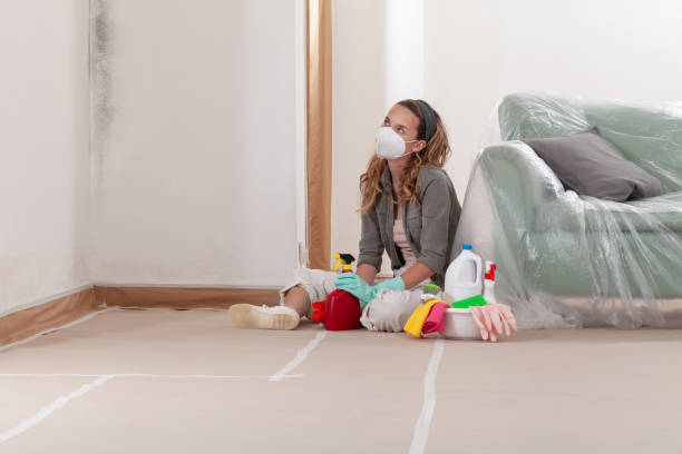 Reliable Commercial Mold Remediation contractor in Lombard, IL by WQB Mold Removal